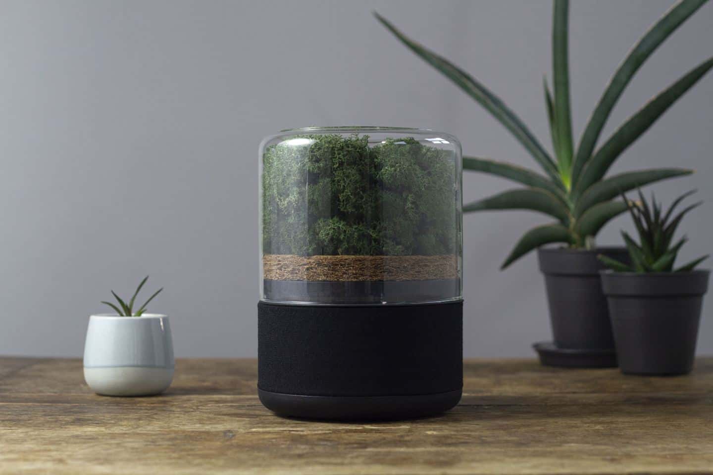 Briiv Air Purifier: Sustainable and Natural