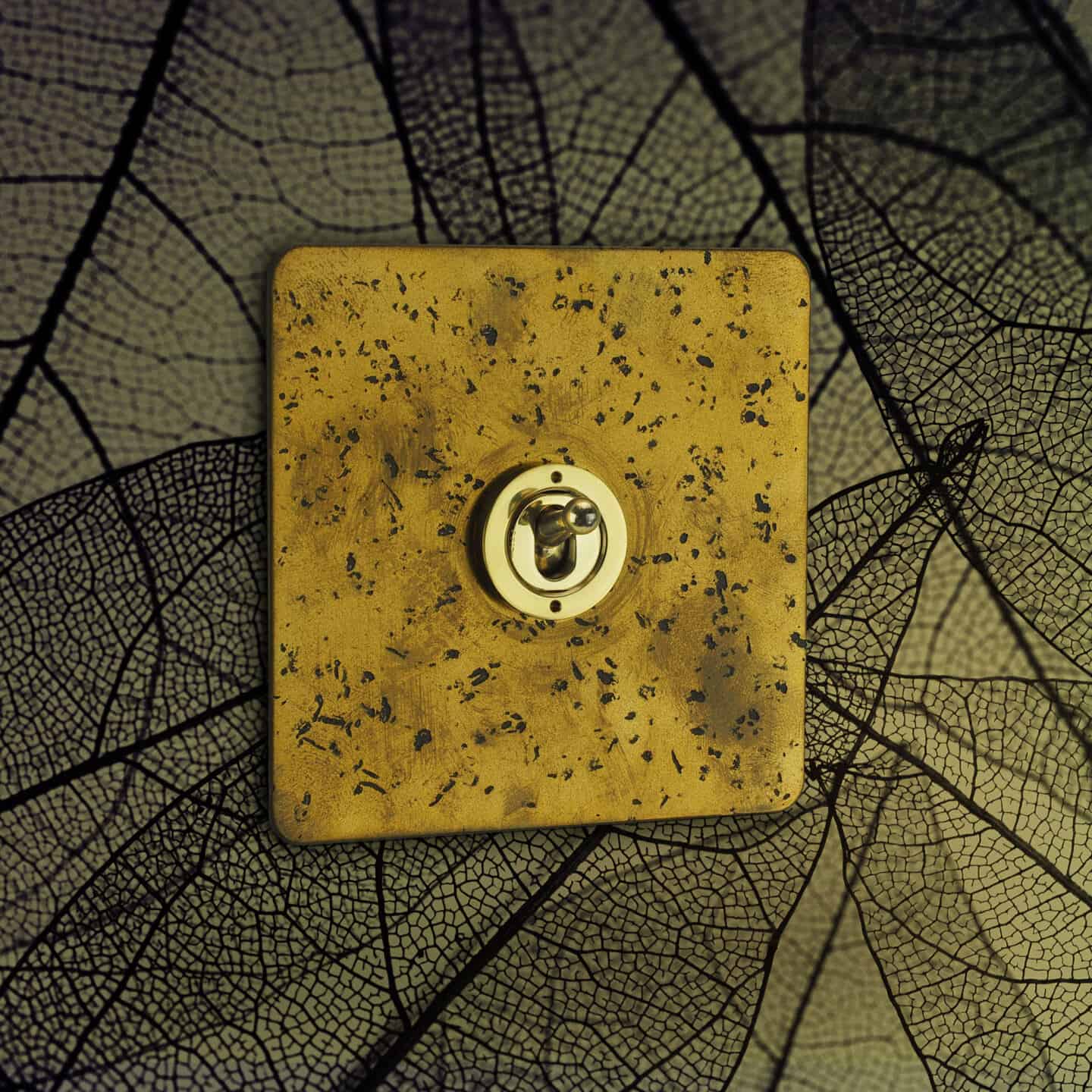 Focus SB nature inspired light switch. Gold brass plate has a pitted texture 