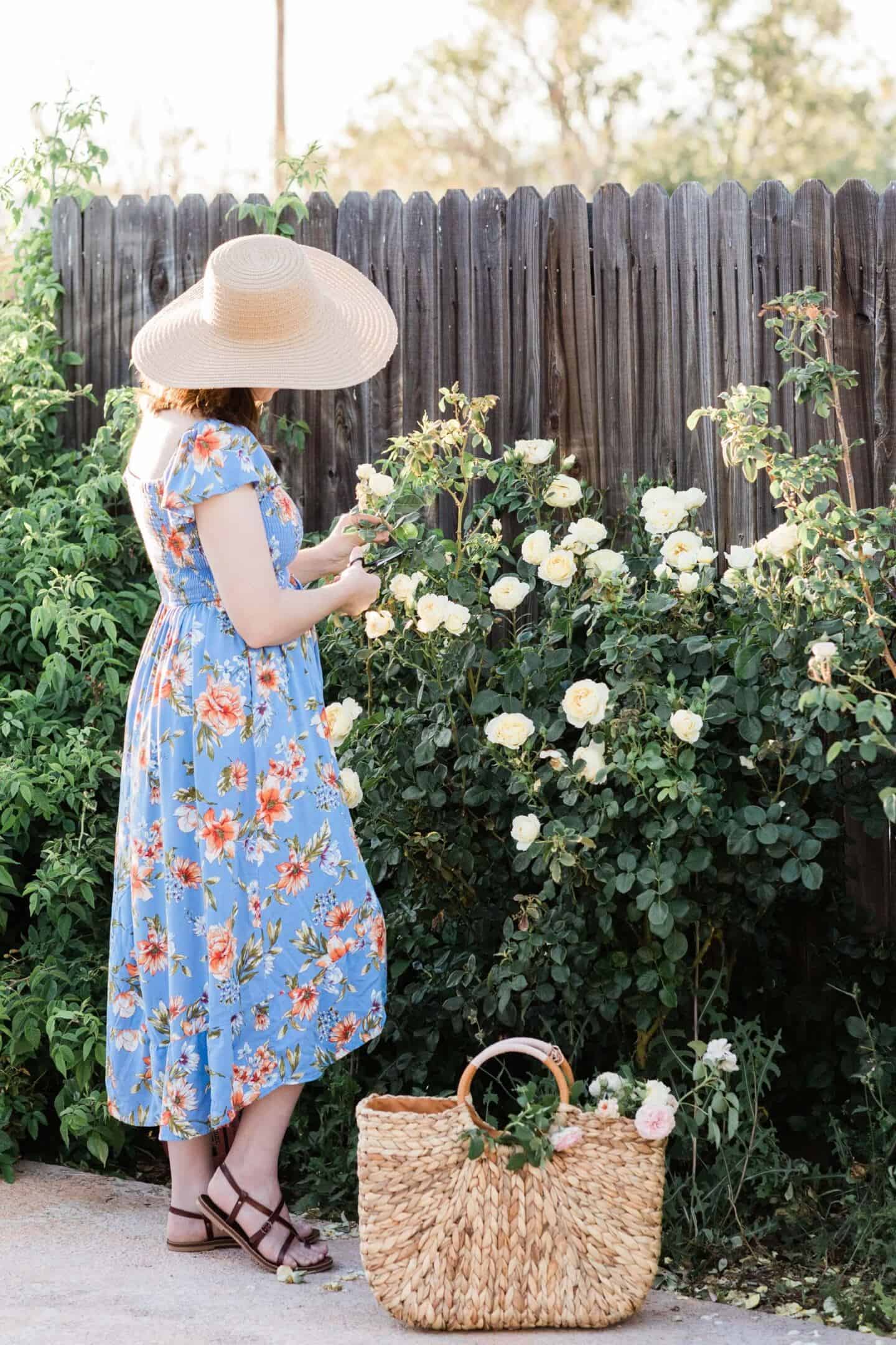 The Surprisingly Positive Benefits of Having a Garden